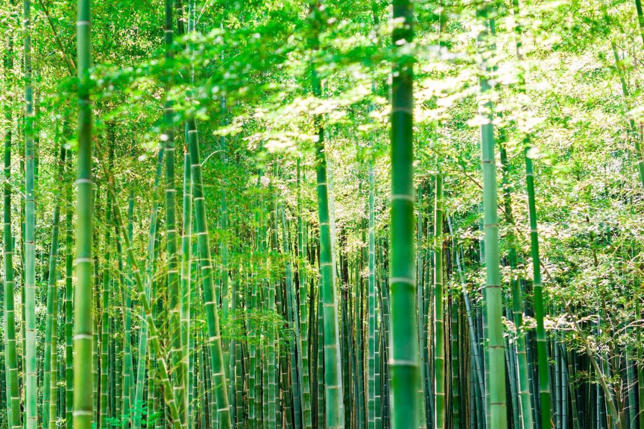 Suiran, A Luxury Collection Hotel, Kyoto Extérieur photo